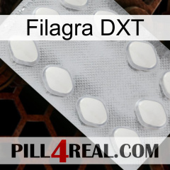 Filagra DXT 16